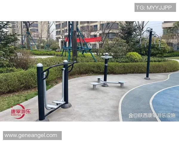 西安健身器材网的购物平台与产品推荐