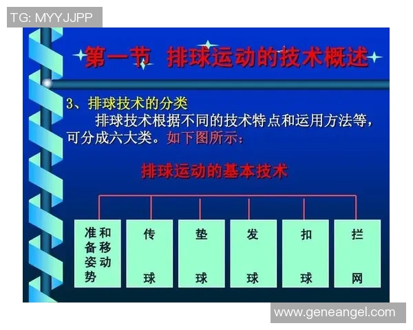 南京排球队在邀请赛中的战术表现分析与点评探讨