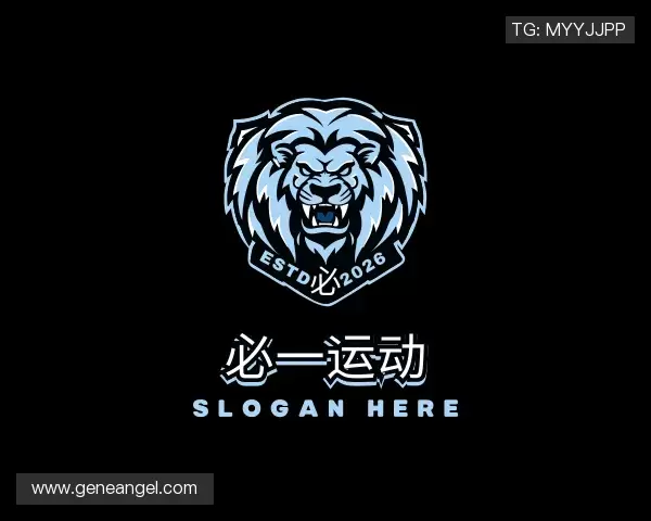 了解Bsports
